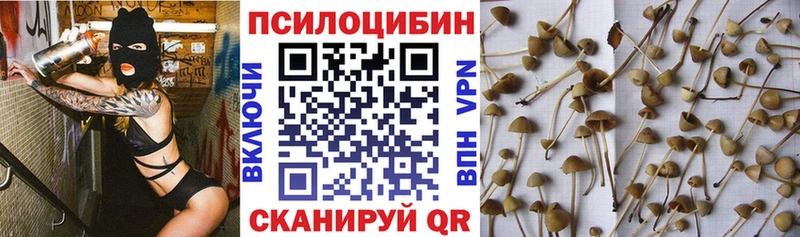 где продают MEGA маркетплейс Псилоцибиновые грибы GOLDEN TEACHER Камышлов