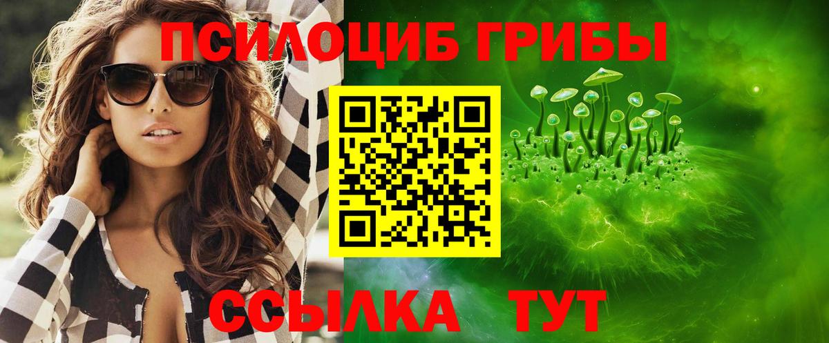 Галлюциногенные грибы GOLDEN TEACHER  Вход с VPN  Галлюциногенные грибы мицелий  Камышлов 