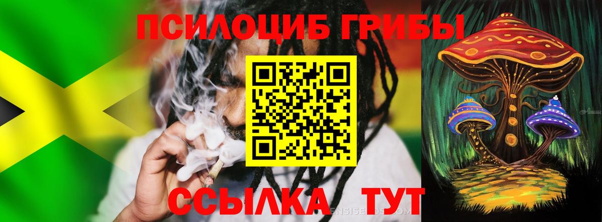 Галлюциногенные грибы мухоморы Камышлов